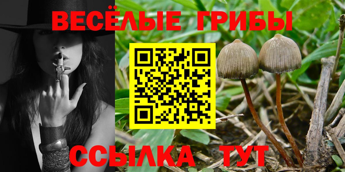 Михайловск  Галлюциногенные грибы ЛСД  купить   Галлюциногенные грибы MAGIC MUSHROOMS  Вход с VPN 