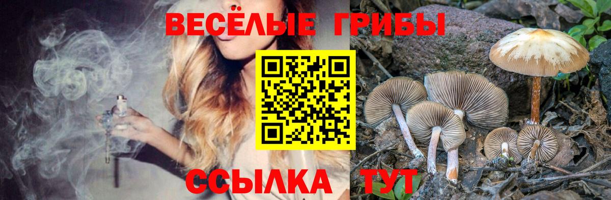 Псилоцибиновые грибы ЛСД Михайловск